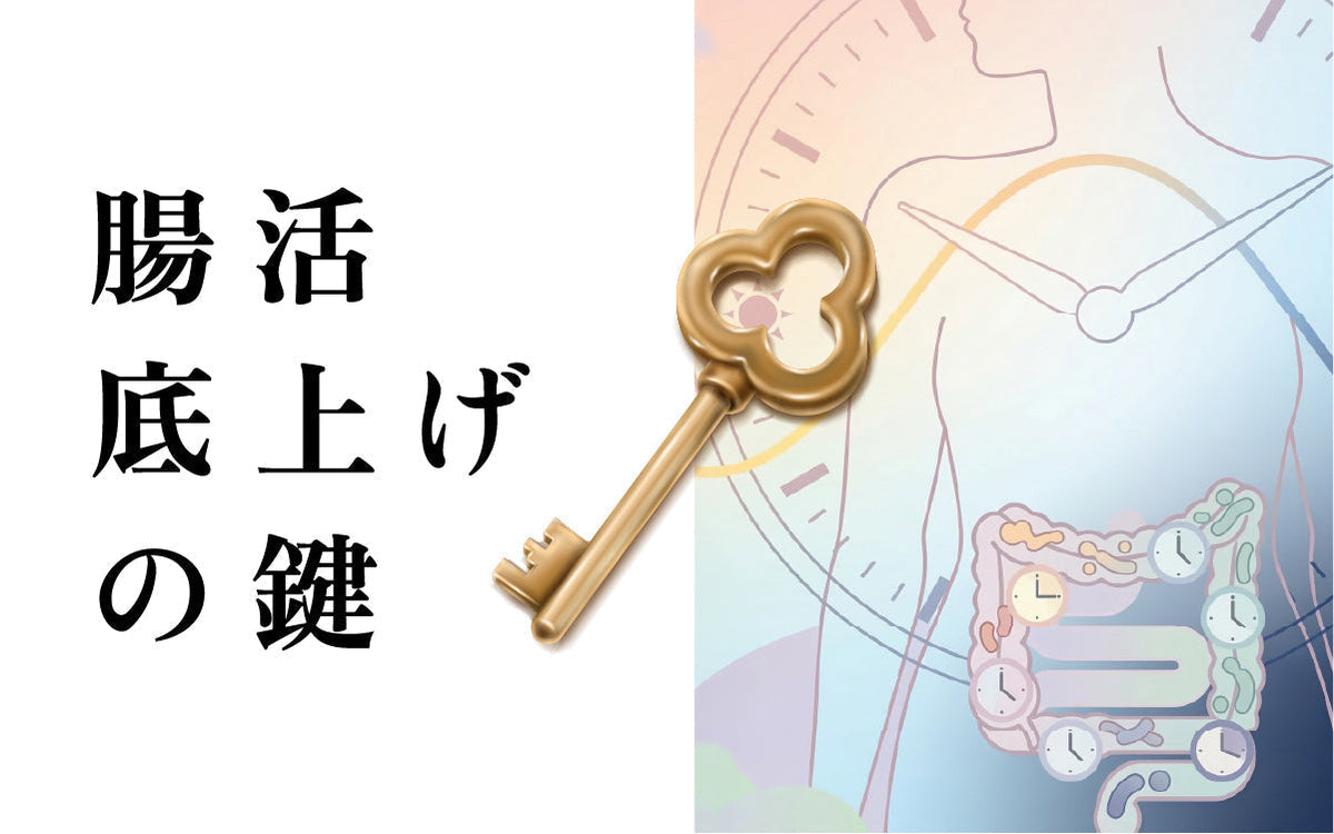 腸活の効果を高める鍵は「時間」｜腸内細菌と体内リズムの整え方