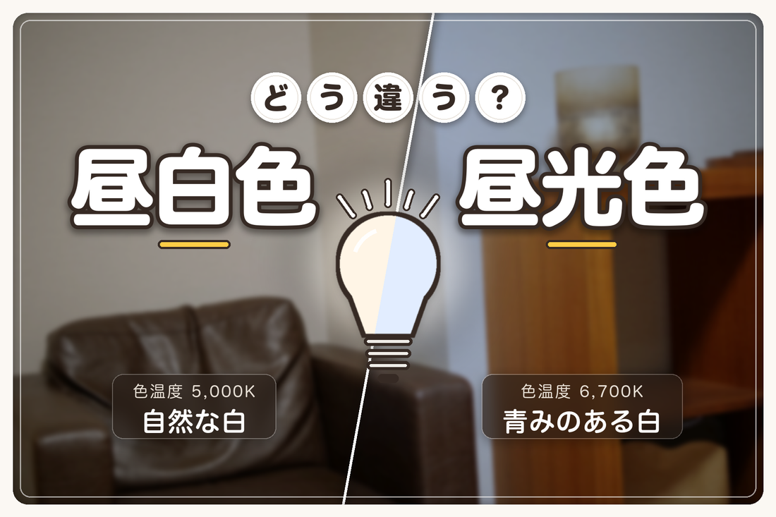 昼白色と昼光色の違いは？ 売り場で迷ったときの選び方