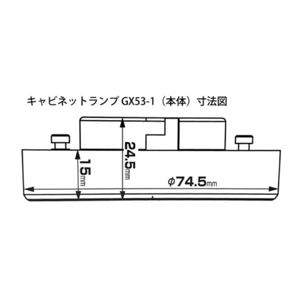 深部の血流促進［NIR850型］セラピー用ライト
